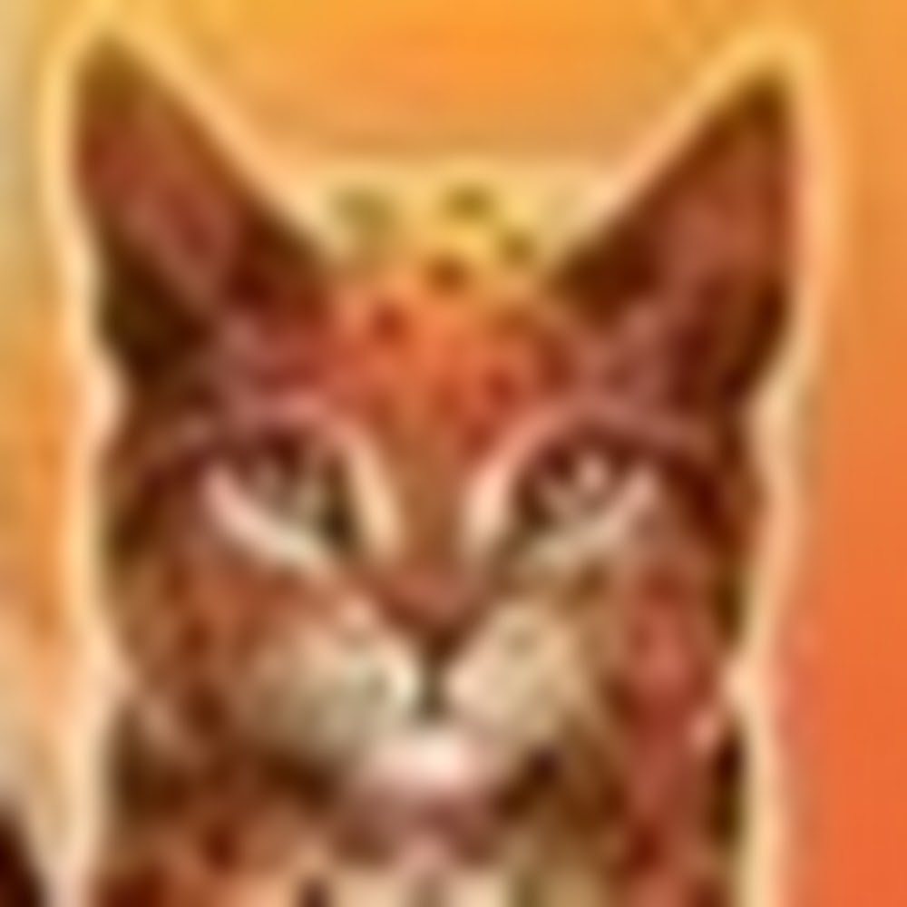 Meet your Posher, Midnight